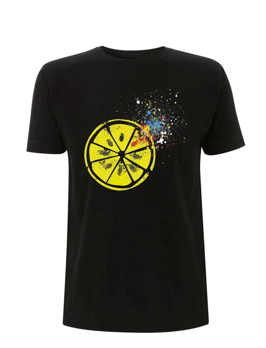 stone roses, t-shirt, lemon, sound is colour